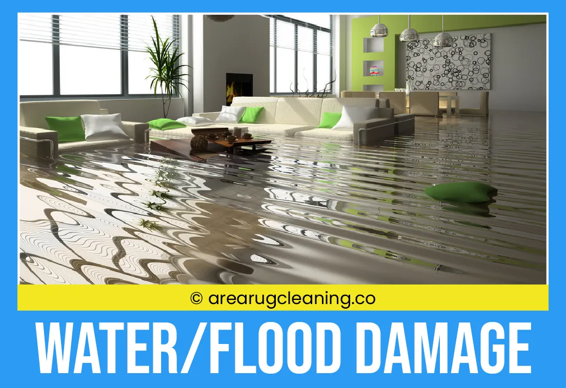 carpet cleaning in new york, carpet cleaning New York, carpet cleaners in New York, commercial carpet cleaning, commercial carpet cleaning in New York, New York rug cleaners, rug cleaning services in New York, same day carpet cleaning, same day rug cleaning, upholstery cleaning services in new york, carpet cleaning services in ny, ny carpet cleaning , rug cleaning ny, upholstery cleaning ny